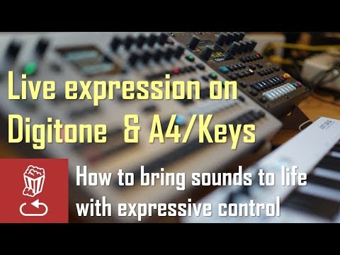 Live expression on DIGITONE and ANALOG FOUR/KEYS: How to bring sounds to life