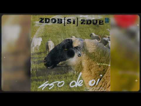 Zdob și Zdub - Dj Vasile
