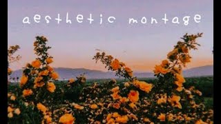 aesthetic spring montage♡