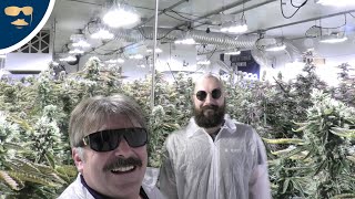 60 Plant Tuna Rockstar Garden