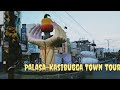Palasa Kasibugga Town Tour Palasa Srikakulam Andhra Townvlog Travelvlog Telugunews Viralvideo