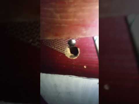 A venit ursul si tras de plasa.Am verificat stupi