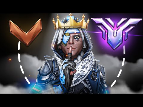 The Only Ana Guide You Need