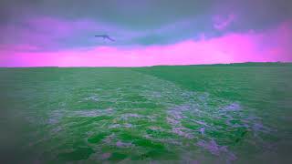 Speed Stick – “Protect Your Magic”