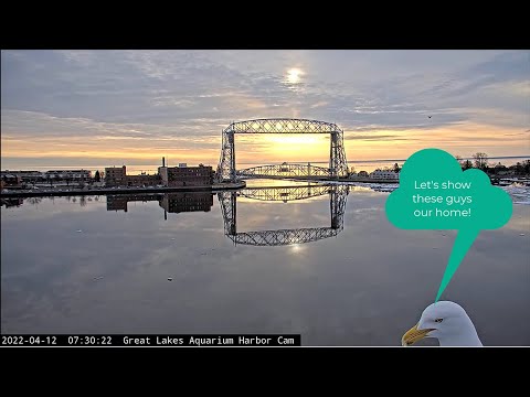 Jeffery's Home! 04/12/2022