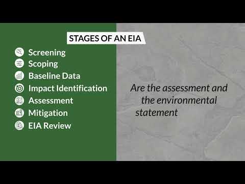 The EIA Process - English
