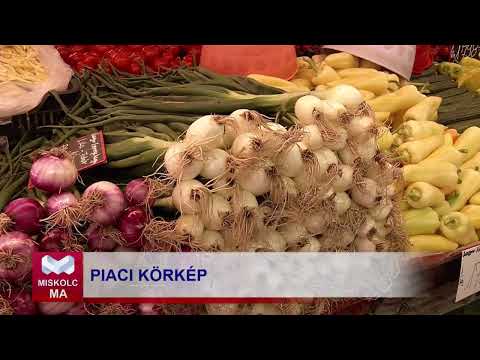 Videó előnézet