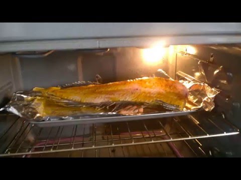 Frankeinstein fish