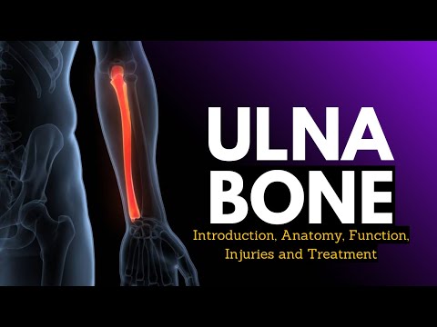 What Is The Difference Between A Heart Attack And A Heart Failure