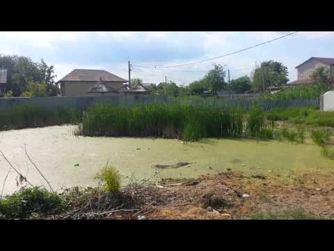 pensiunea CRISTAL - TULCEA movie1