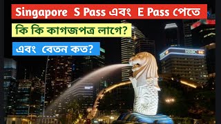 singapore s pass visa details /  সিঙ্গাপুরে S Pass এবং E-Pass কিভাবে নেবেন