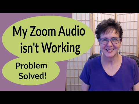 Zoom-Audio funktioniert nicht – Einfaches Zoom-Tutorial 2020