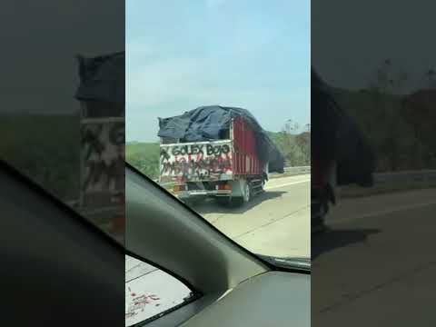TRUCK CABE LAKA DI TOL JAWA😢😭