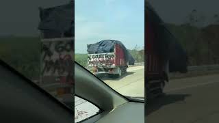Download lagu TRUCK CABE LAKA DI TOL JAWA😢😭 mp3