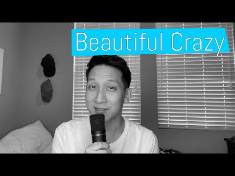 "Beautiful Crazy" (Cover by Travis Yee)