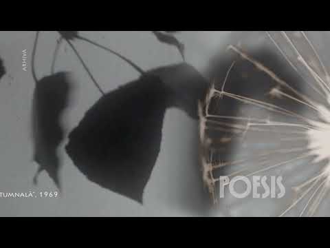 Poesis: Traian Stănescu – Copacul de Ion Barbu (@Arhiva TVR)