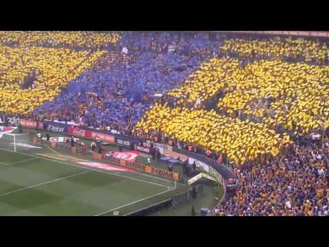 "Incomparable hay una sola, La hinchada de Tigres" Barra: Libres y Lokos &bull; Club: Tigres
