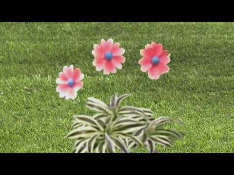 Teletubbies 26th Anniversary - Spring Flowers (August 17, 2020)