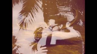 Arrow Man - White Fence