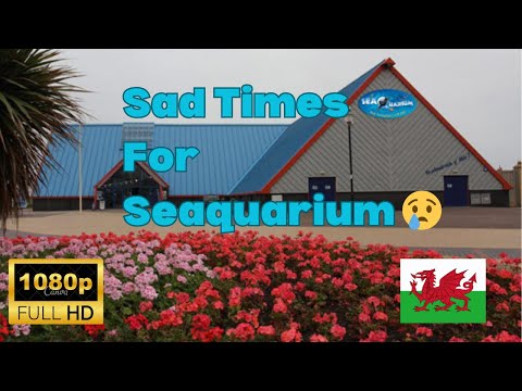 RHYL 10/01/2024 | SEAQUARIUM CLOSURE | SEA DEFENCE WORK | #rhyl #coast #northwales #demolition #walk