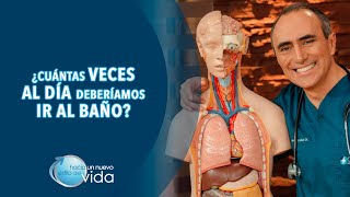 ¿CUÁNTAS VECES AL DÍA DEBERÍAMOS IR AL BAÑO? - HACIA UN NUEVO ESTILO DE VIDA