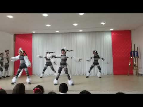 Apresentação de cats