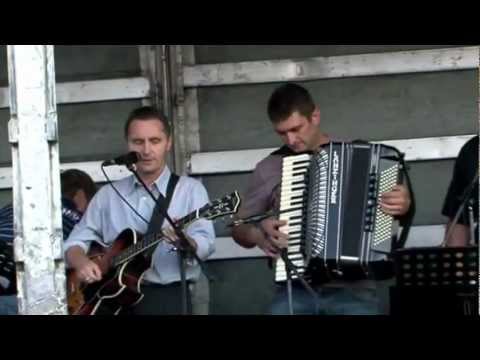 VINOGRADNIŠKA-MILAN DOMAJNKO-(LIVE)