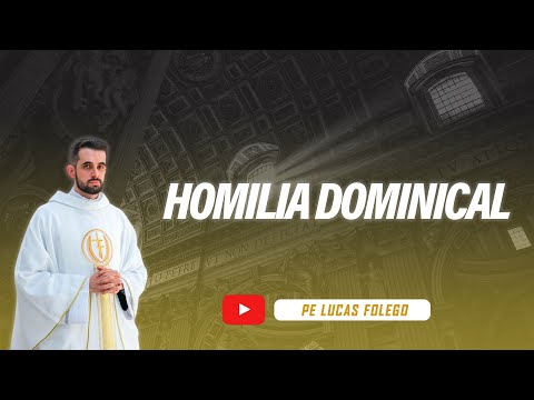 Homilia do VII Domingo do Tempo Comum Ano C