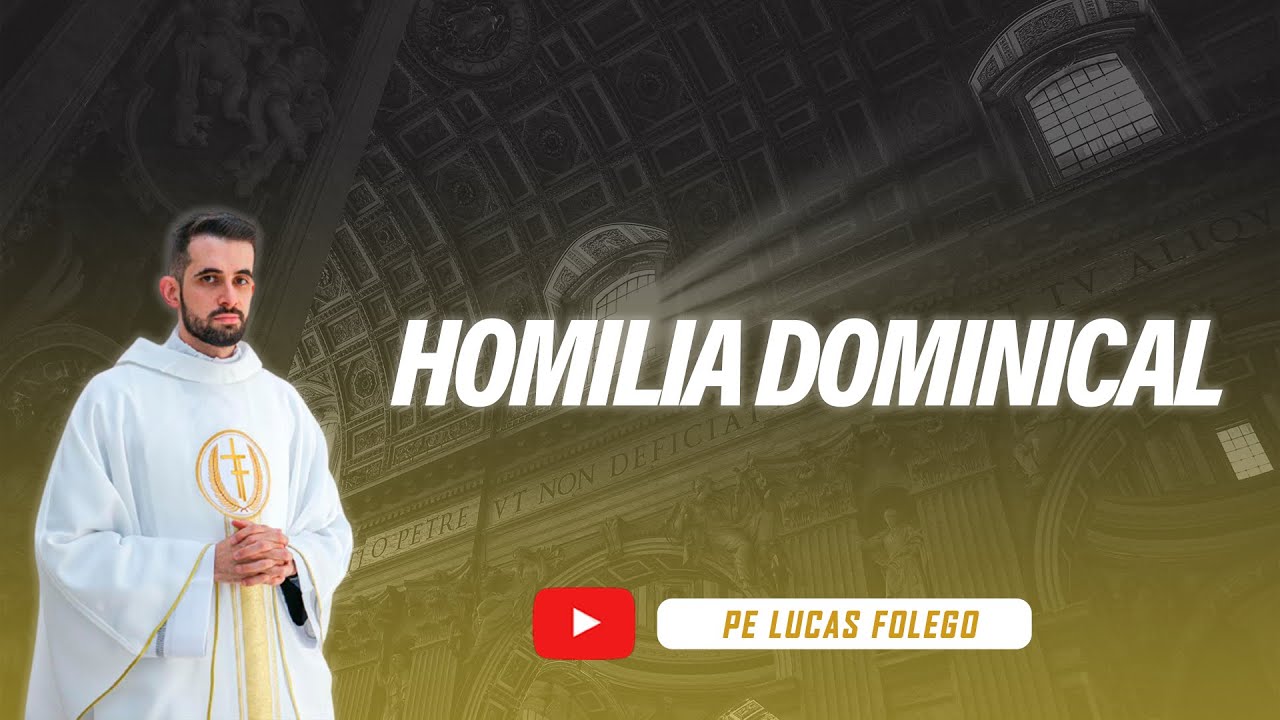 Homilia do VII Domingo do Tempo Comum Ano C