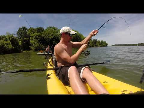 Bomber Bill Dance Crank Bait Catches Everything Including....