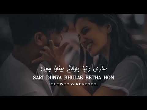 Sari Dunya Slowed & Reverb | Kitni Chahat | Urdu Slowed Reverb Songs | Sajjad Solangi