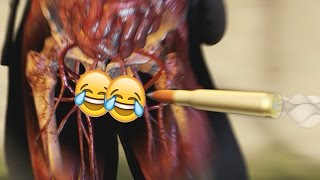 Sniper Elite 4 video thumbnail