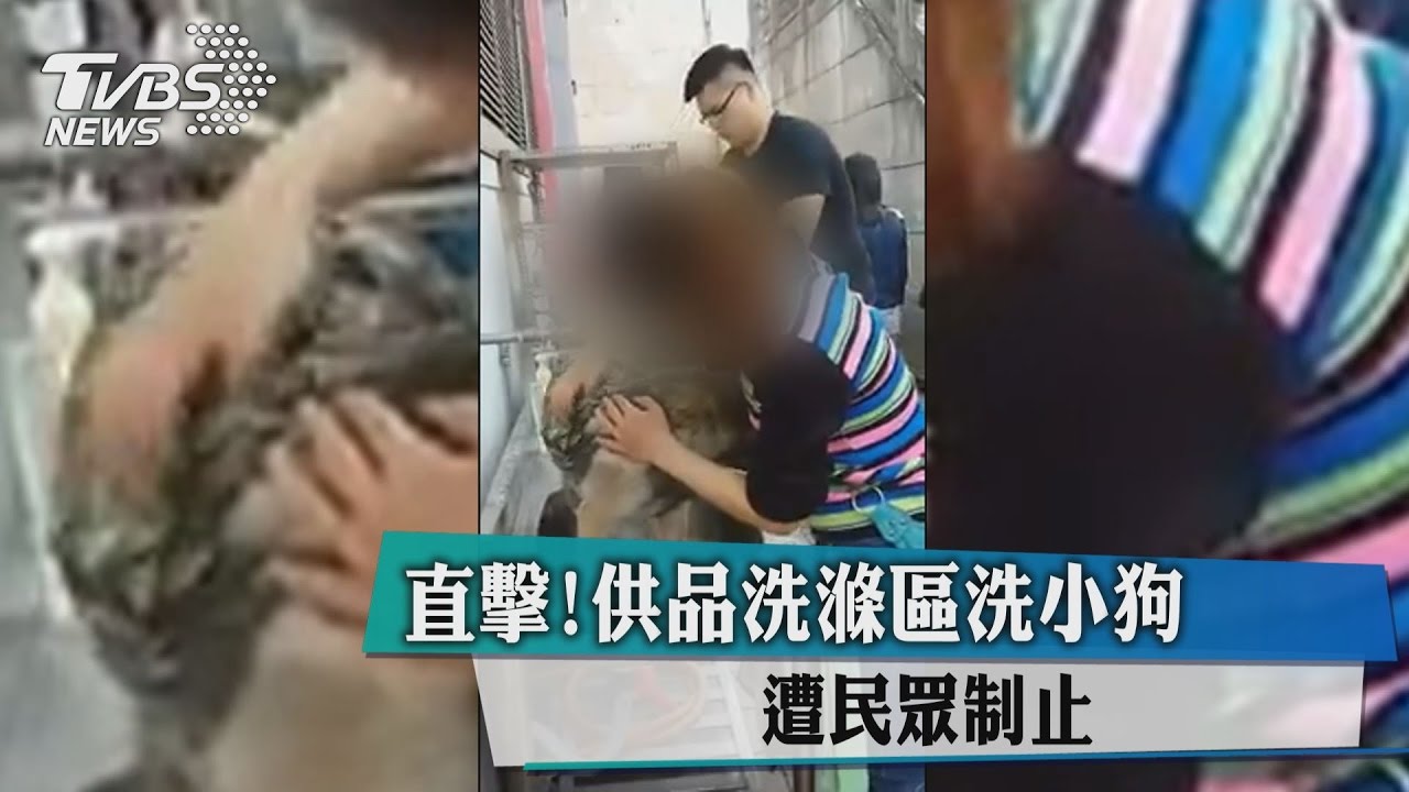 男女在供品洗滌區洗小狗 遭民眾制止險口角
