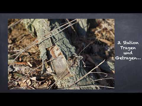 Station03 - Passionsgang  im Moor