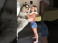 Dog Lover Trending Instagram Reel Whatsapp Status Youtube Shorts Share Dark Funny King