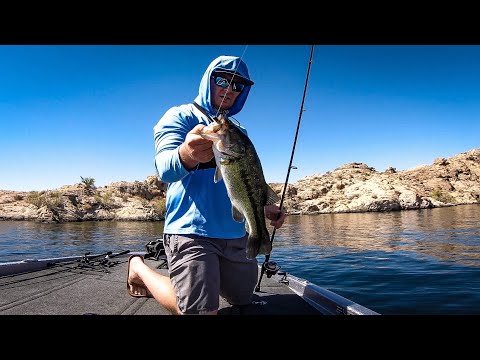 How to Catch Bass in ULTRA CLEAR Water (How to fish the ned rig)