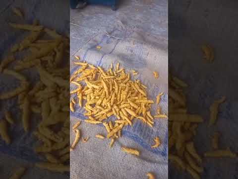 Turmeric Finger Double Polish