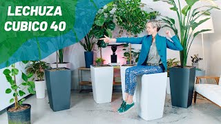 Perfect Planter For Large Plants - Lechuza Cubico 40 Self-watering Planter