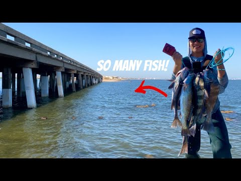 Fishing Bridges for Black Drum Tips