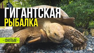 Рыбалка за границей базы отдыха
