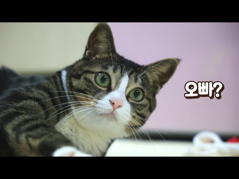 1년 만에 첫사랑 오빠를 만난 보름이의 가슴 찡한 반응