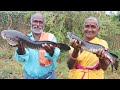 కొరమేను ఇగురు Koramenu Fish Recipe Murrel Fish Curry Ranganayakamma Kitchen