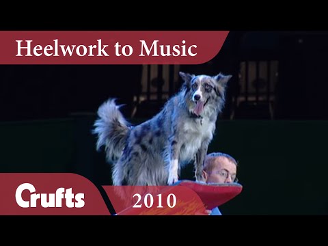 Heelwork To Music - Freestyle Competition Winner | Crufts 2010