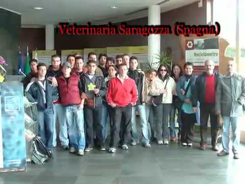 ITA-Caltanissetta.mp4