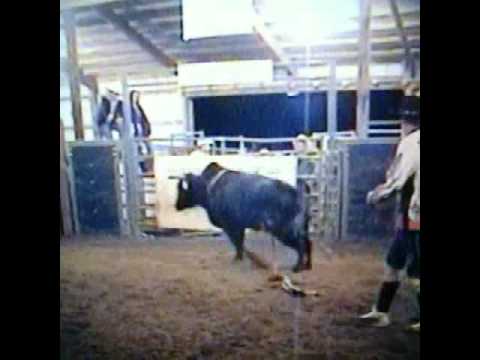 Cowboy's Arena all Ace High