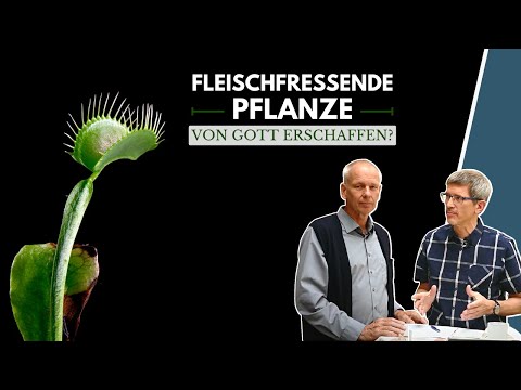 Fleischfressende Pflanzen - Von Gott erschaffen? || Stefan Drüeke || Manuel Seibel