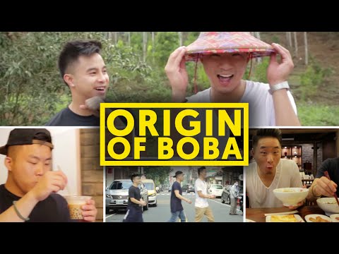 【多元文化】台灣是珍奶的故鄉！探索台灣之旅讓美國華僑驚呼連連！(THE ORIGIN OF BOBA - Fung Bros In Taiwan - Ep. 1)