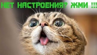 НЕТ НАСТРОЕНИЯ ИДИ К НАМ!!!