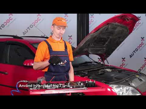 Så byter du dämparfäste på FORD MONDEO 3 [GUIDE]