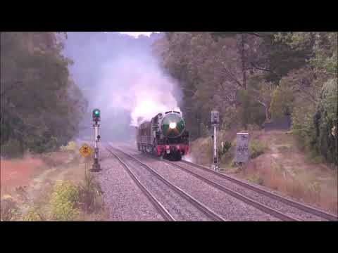 NSW steam locomotives